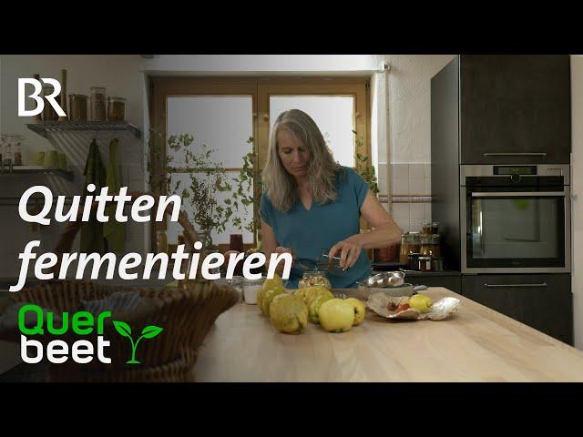 Rezept Quitten-Chutney – Obst haltbar machen