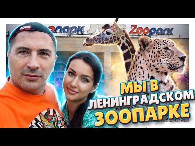 Ленинградский Зоопарк в Санкт - Петербурге ! Что в нем особенного и кого можно увидеть ? #питер #спб