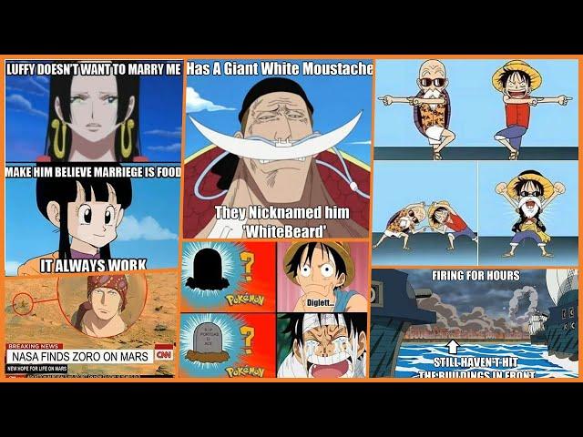 Funny One Piece Memes, Only True Fans Will Find This Video Funny