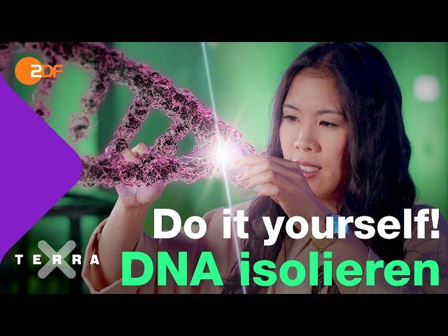 Mai Thi erklärt die Entdeckung & Aufbau von DNA | Terra X plus