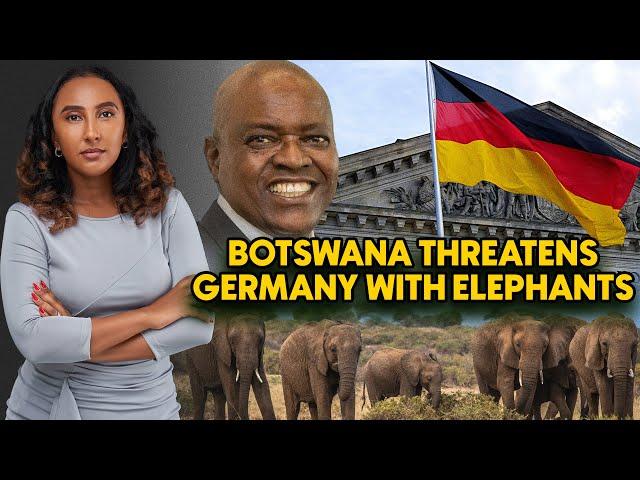 Botswana Threatens To Send 20,000 Elephants To Roam Free In Germany