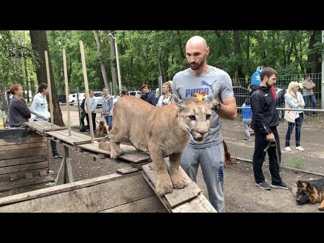 Education from 1 year to 4 years. Puma Messi goes to school.