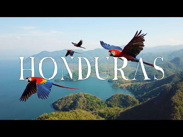 Honduras Travel Video | WANDR (Roatan, Copan, Lake Yojoa, Macaws, and MORE...)