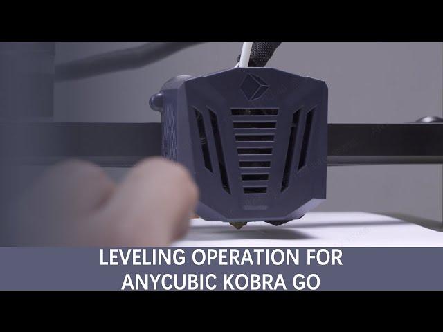 Leveling Operation for Anycubic Kobra Go