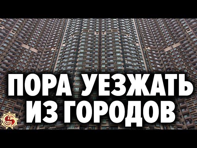  5 шагов чтобы уехать на землю и не пожалеть . Переезд из города в деревню без потерь и нервов