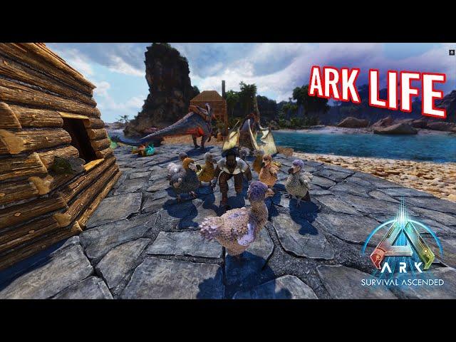 Taming Dodos for Eggs on The Island in ASA #ARKade #playARK #ARKSurvivalAscended