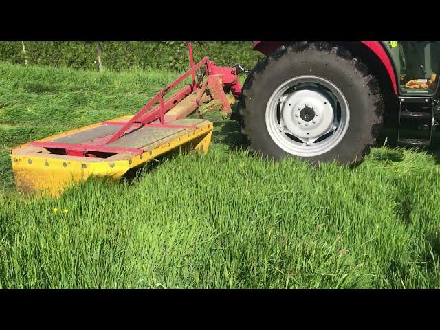 First 100 hay bales 2021 with mini baler