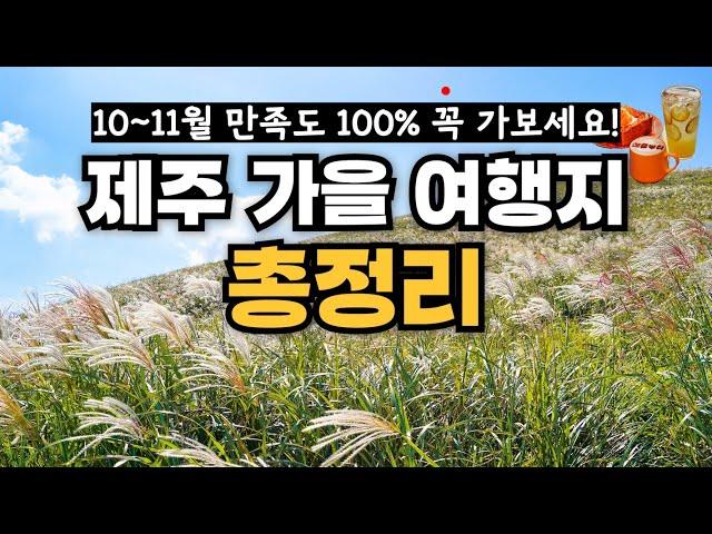 Autumn attractions in Jeju Island travel Best 5 [SUB]