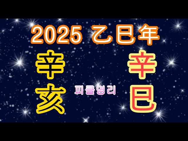 2025년 을사년 새해운세 신해일주 신사일주 - 피클명리