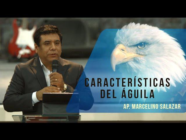 Características del Águila - Ap. Marcelino Salazar