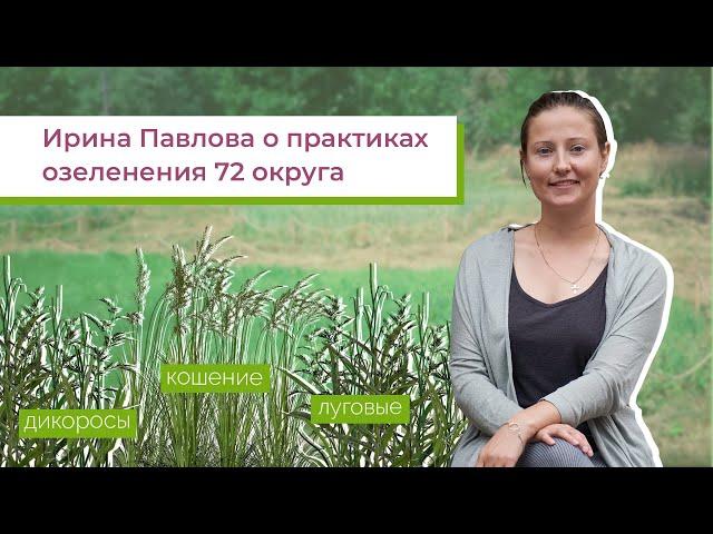 Ирина Павлова о практиках озеленения 72 округа  / Зелёные города