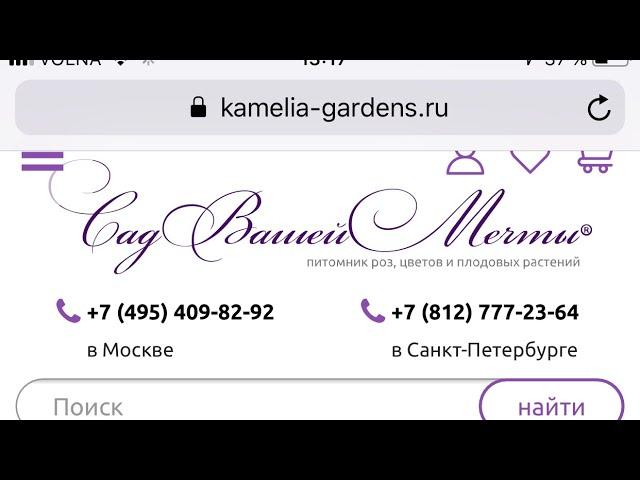 Осторожно , Аферисты ! Питомник Сад Вашей Мечты или kamelia-gardens . #аферисты #garden