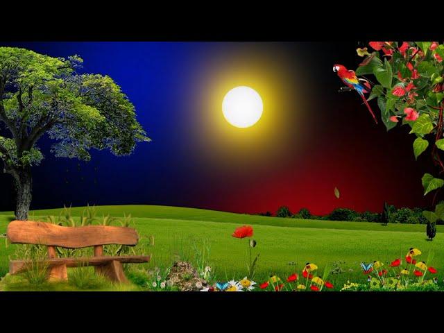 Green screen video effects | black screen video animation | night sky background video #nocopyright