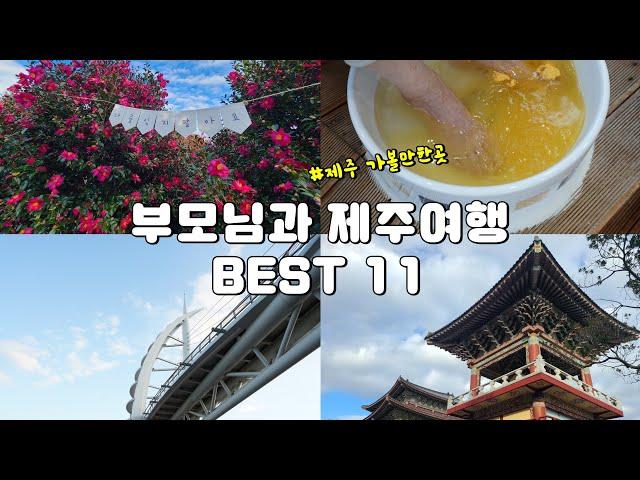 부모님과 제주여행~어르신 취저 제주스팟  11곳 소개해요 :)