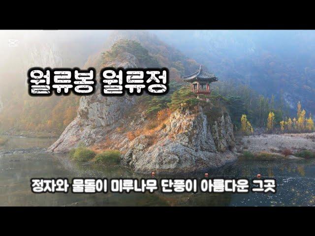 황간 월류봉 가을풍경 | 미루나무 노란단풍, 감나무 붉은감 그리고 한반도지형 운해 | landscape photography |