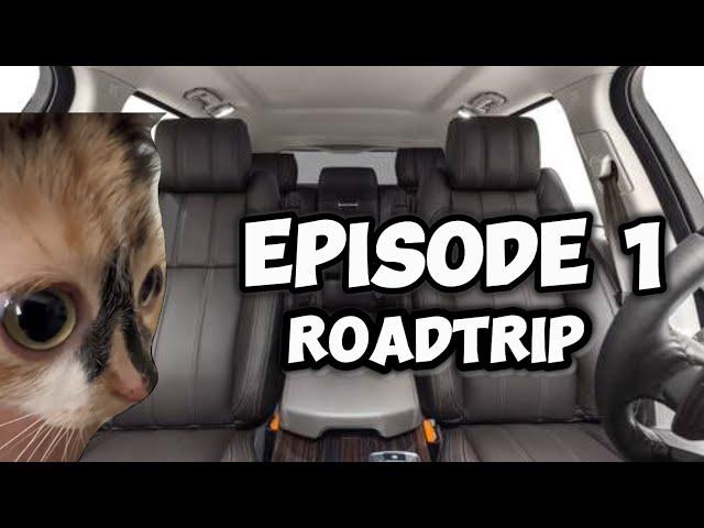 CAT MEMES: FAMILY ROADTRIP COMPILATION