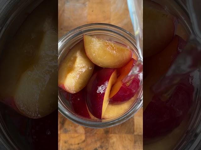 What is lacto-fermentation? #thehappypear #shorts