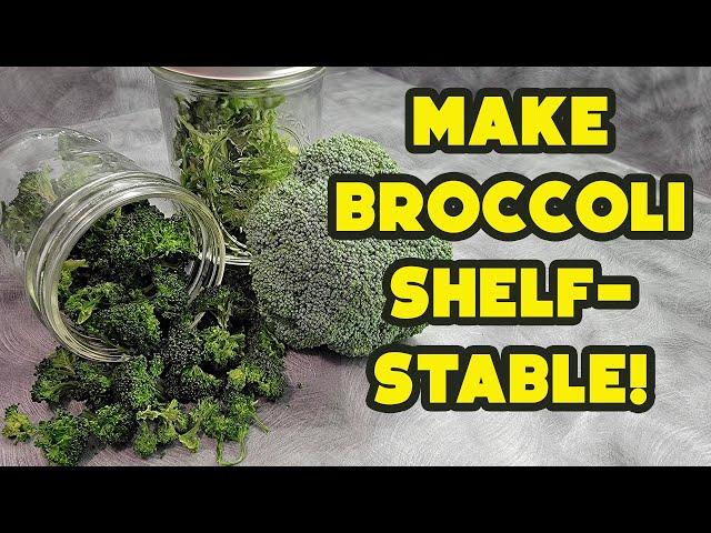 Make Broccoli Shelf-Stable by Dehydrating It!  And Don't Waste the Stem!! | Dehydrating Food