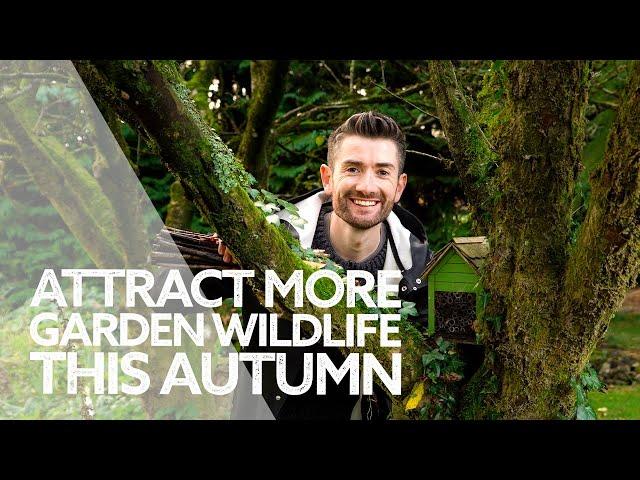 How to Bring Wildlife into Your Garden this Autumn | Fall Garden Jobs