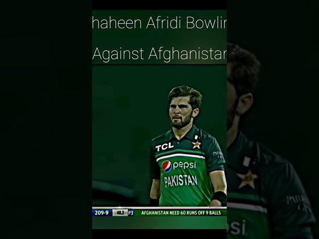 #foryou #viralvideo #cricket #cricketlover #babarazam #cwc2023 #