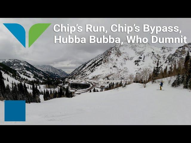 Snowbird - Chip's Run to Chip's Bypass to Hubba Bubba to Who Dunnit