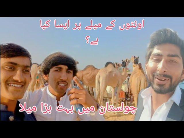 cholistan mein oothon ka bahut bada Mela with Malik Rizwan and Shahzad Cholistani shahzady