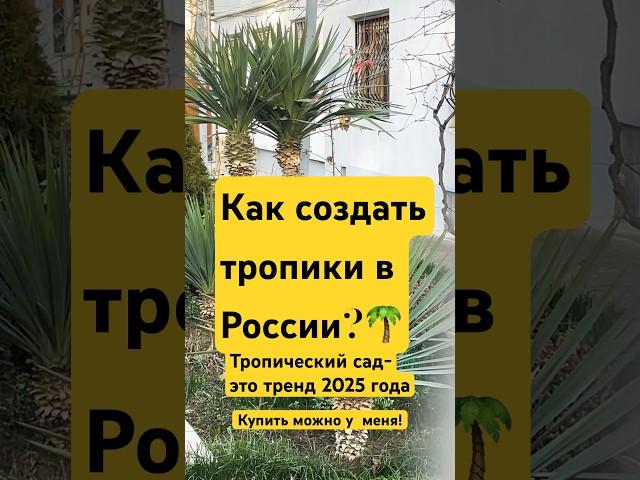 Пальмы на ваш участок до -20️ #дача #дизайндачи
