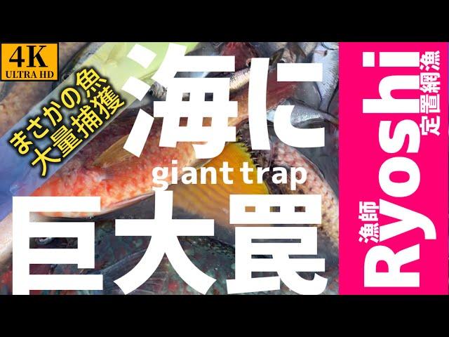 [Fisherman video] When I set up a giant trap in the sea, I caught a lot of XX #fisherman #bigcatch