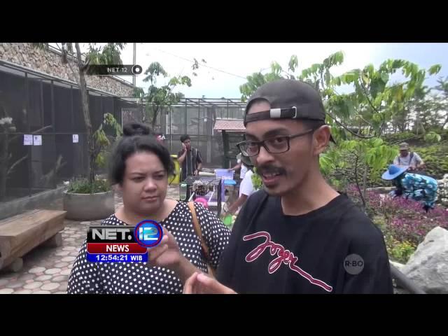 Wisata Farmhouse di Bandung - NET12