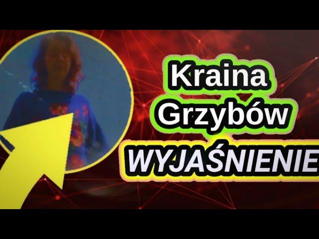 Kraina Grzybów mini wyjaśnienie.