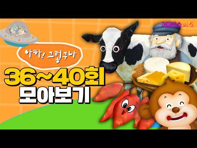 원숭이와 치즈에 숨겨진 비밀이 있다?ㅣ호기심ㅣ아하! 그렇구나 36~40회 모아보기ㅣKBS 방송