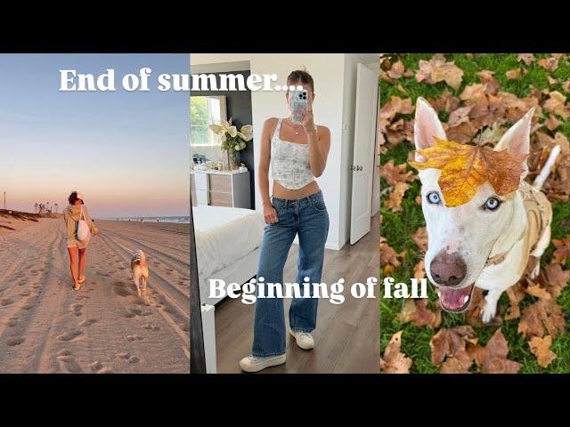 Beach days, Yuki gets a bath, fall walks, hinge dates and more!