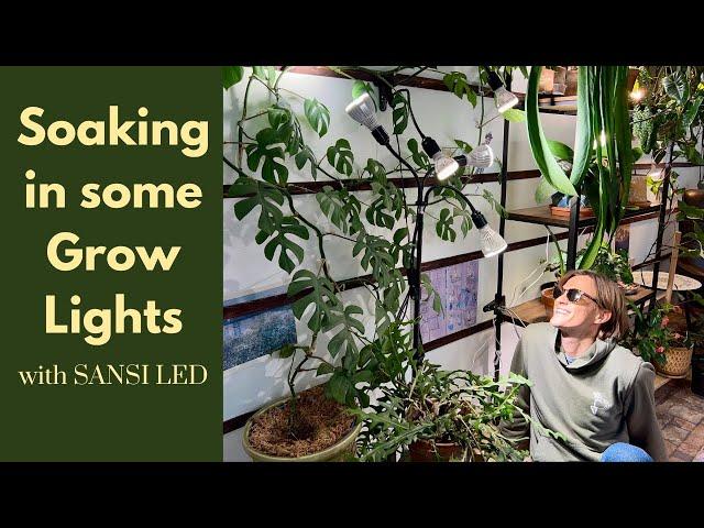 Best Brand of Grow Lights for your Money? Using Different Kinds for Houseplants