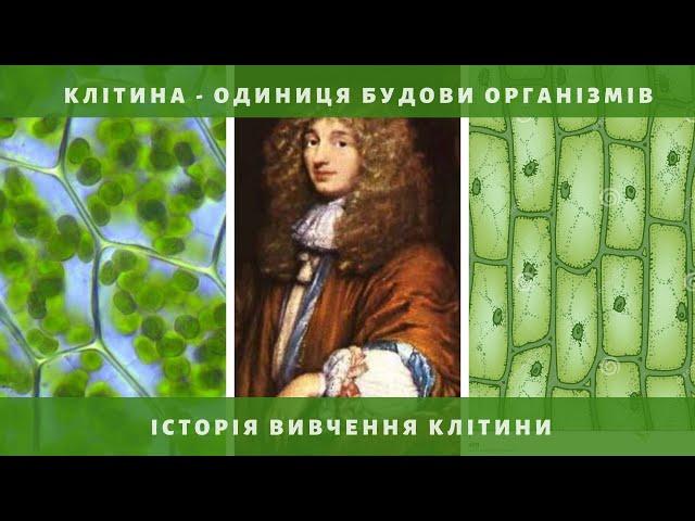 КЛІТИНА - одиниця будови організмів.Історія вивчення клітини. 6 клас