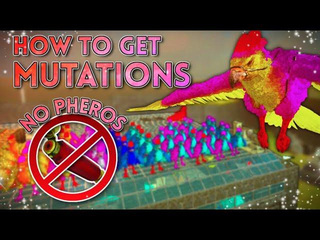 How To Build An AUTO Argy Farm! | Get Easy Mutations WITHOUT Pheromones!
