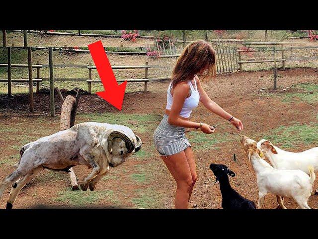 CAUGHT ON FILM!  Amazing Animal Moments