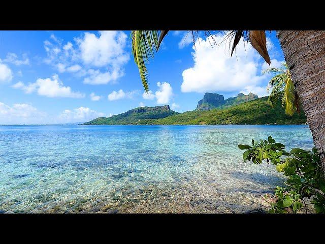 French Polynesia: 3 Hours of Tropical Island Ambience For Relaxation