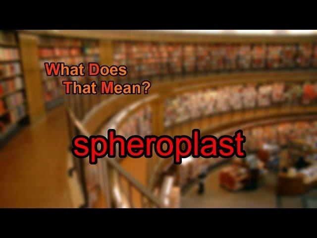 What does spheroplast mean?