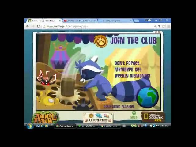 Animal jam live Sindal2015