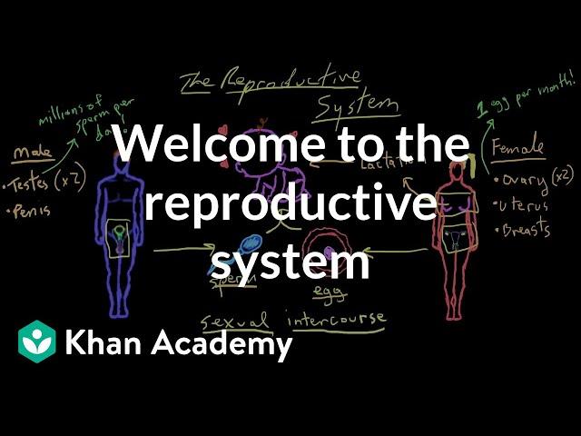 Welcome to the reproductive system | Reproductive system physiology | NCLEX-RN | Khan Academy