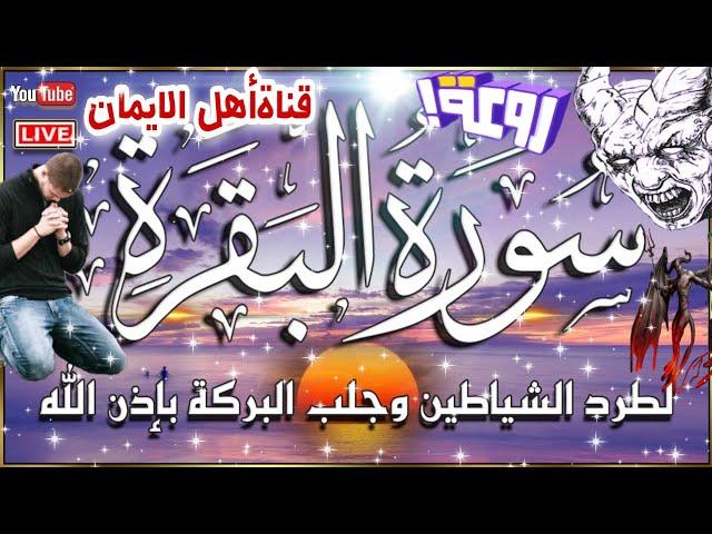 سورة البقرة كاملة مكررة لطرد الشياطين الشياطين والسحر والحسد والعين جلب الرزق والبركةsurat albaqara