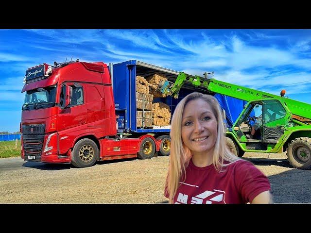FULL LOAD OF THATCH ROOFING FOR IRELAND | TRUCK PARKING ISSUES