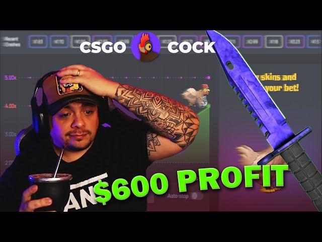 SHARED WON $400 SKIN ON CSGO CRASH!!! | CSGOCOCK PROMO CODE