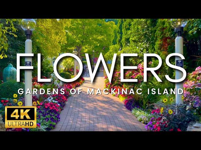 The Most Beautiful Flowers With Peaceful Music For Relaxation ~ Mackinac Island Garden Scenes, 4K