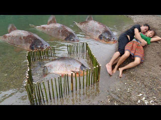 Wow! Smart building nice fish trap catch a lot of fish - living off grid