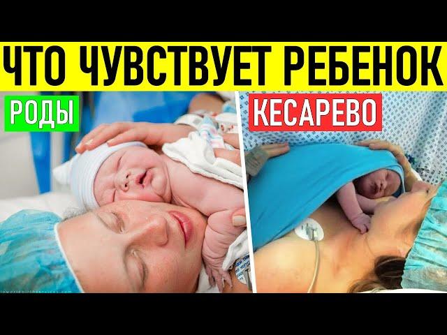 ЧТО ОЩУЩАЕТ РЕБЕНОК ПРИ РОДАХ И КЕСАРЕВОМ СЕЧЕНИИ Отличия кесарево от естественных родов для ребенка