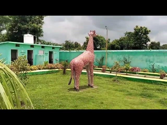 Sindhekela Mini Park.. Balangir