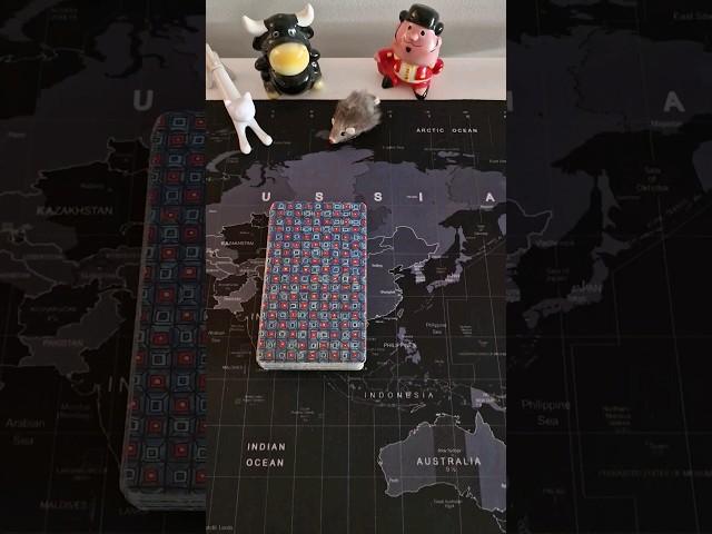 ️События идущие в Вашу жизнь по Судьбе #таро #гадание