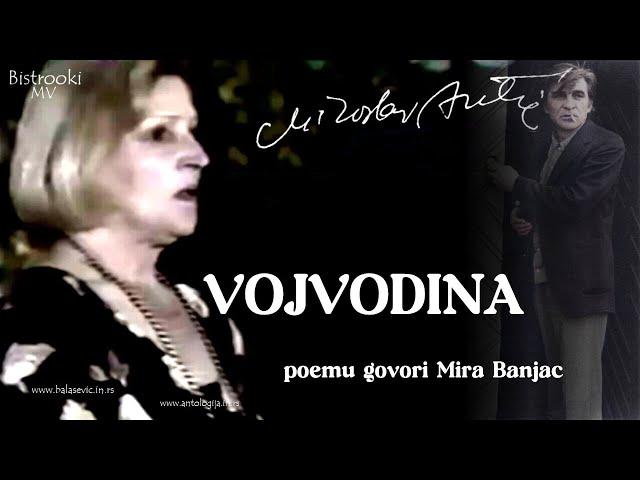 Miroslav Mika Antić – VOJVODINA (Tekst)