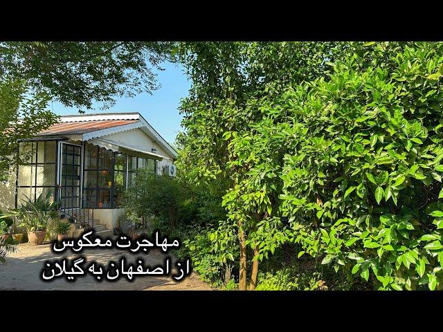 مهاجرت معکوس از اصفهان به گیلان